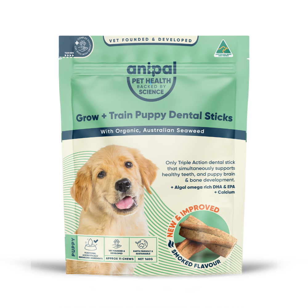 Puppy pal hotsell toothbrush stick review