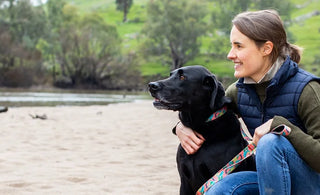 Steph Stubbe finds success in sustainable pet products with Anipal