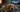 Storm Season & Dog Anxiety: Natural Ways to Keep Your Dog Calm