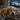 Storm Season & Dog Anxiety: Natural Ways to Keep Your Dog Calm
