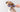Preventing dental disease: Why to brush your dog’s teeth with an enzymatic dog toothpaste