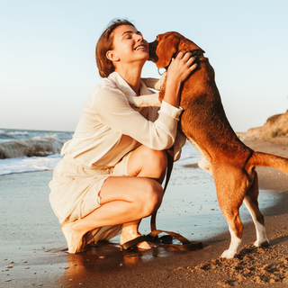 Fun Summer Activities to Enjoy Outdoors with Your Dog 🐾🌞