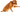 Natural anti-inflammatories for Dogs: Rosehip, curcumin & green lipped mussel