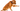 Natural anti-inflammatories for Dogs: Rosehip, curcumin & green lipped mussel