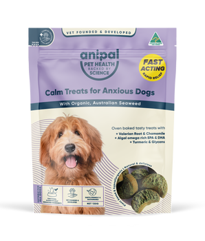 Calm Treats for Anxious Dogs