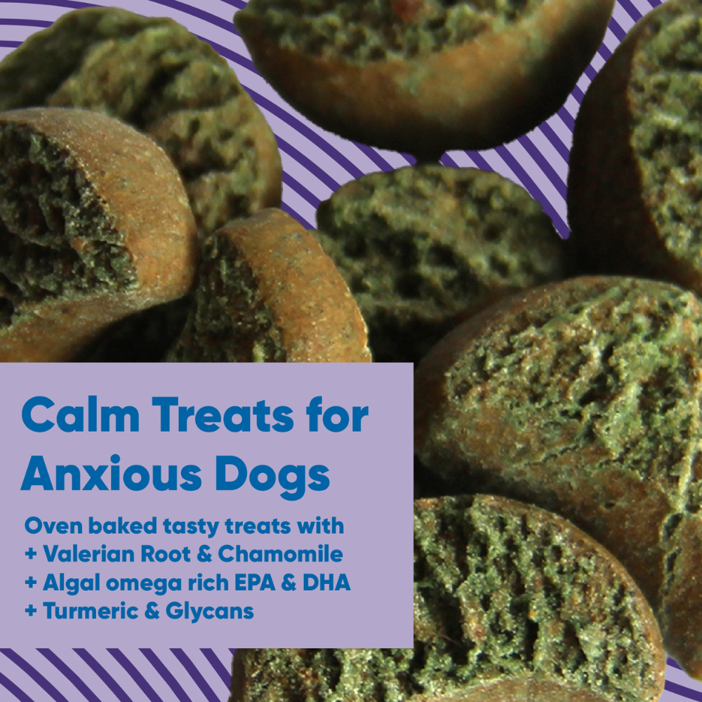 A closer look at Anxious Dog Food Calming Aids